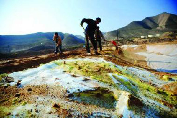 1652836043429935.jpg 7d17185aef09bbb816f7d8616942d54a.jpg